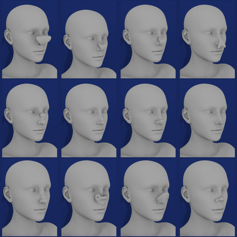 Nose Morphs for Genesis 8 Female Nose Morphs for Genesis 8 Female