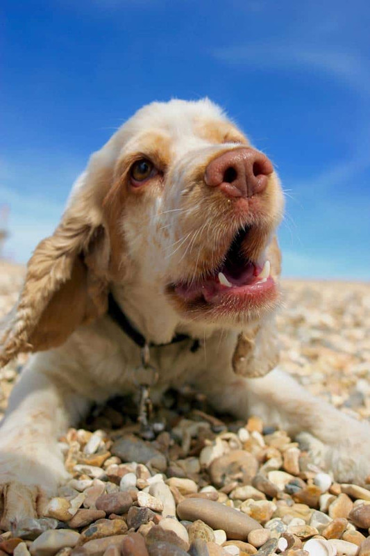 F857B4BC-61B8-46EB-A81E-A3F0D450568A