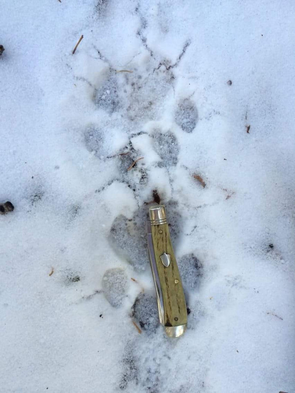 IMG 1068 (2) Original