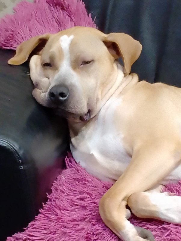 ACAC7867-5693-4CF8-953F-4ED6E8635776