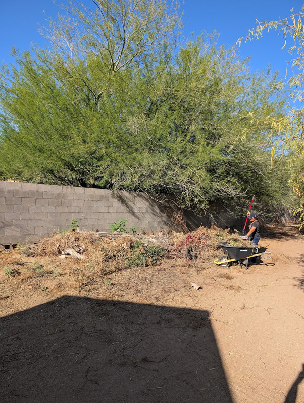 Yard debris and outdoor junk pickup service