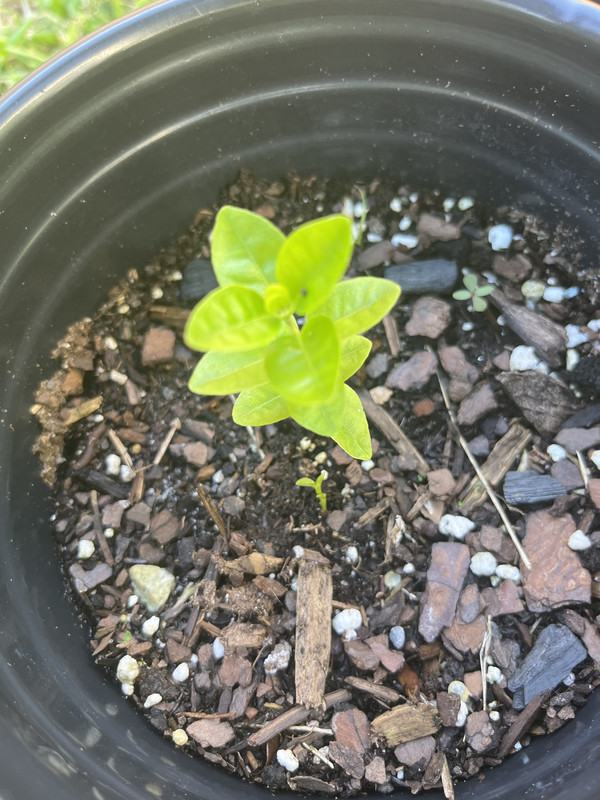 76D13928-B0C0-4CC3-B9EA-334F7C8946CC