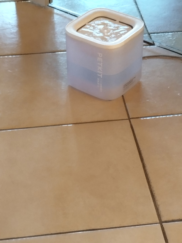 IMG 20260627 071435