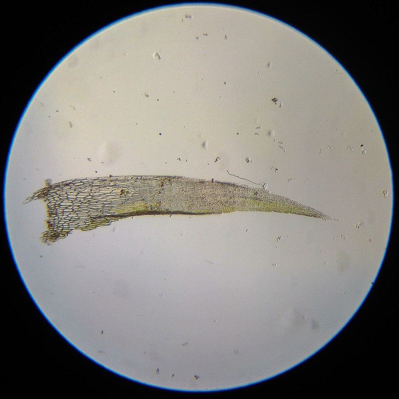 IMG 20250614 124353 HDR