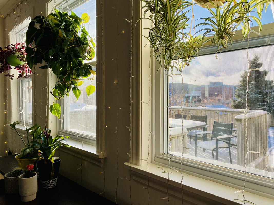 ABBAFD7D-1AEC-42BC-A85E-967A85B64B4F