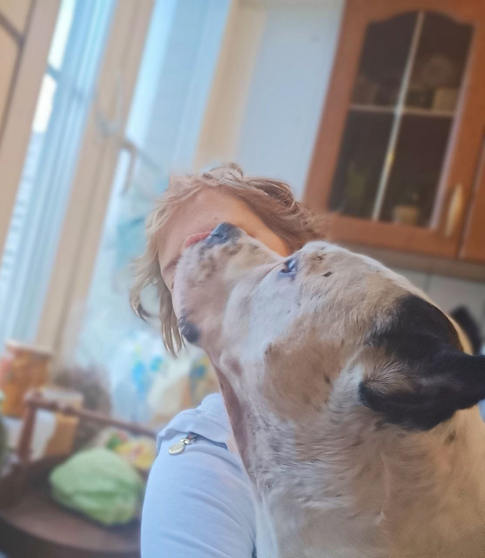 32E42FC7-9E19-4966-A791-1977E86D6E0B