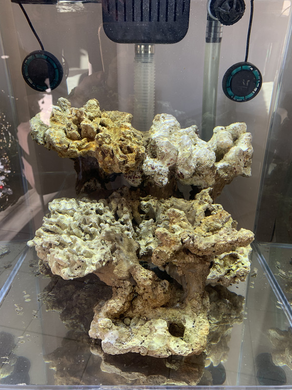 4783E574-BD43-4095-927E-D1511BEAB7D6