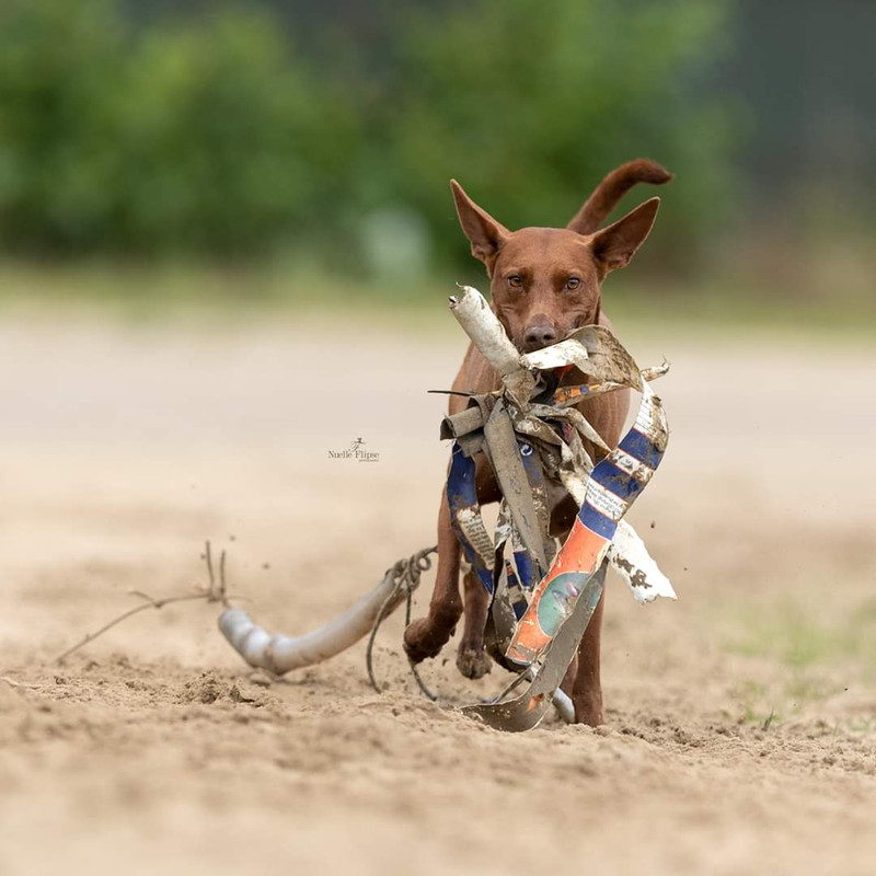 FB_IMG_1594034843091