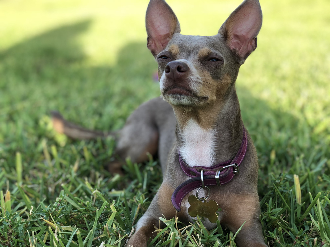 13A80CC0-9CB6-4467-BB94-D48C338AE3FC