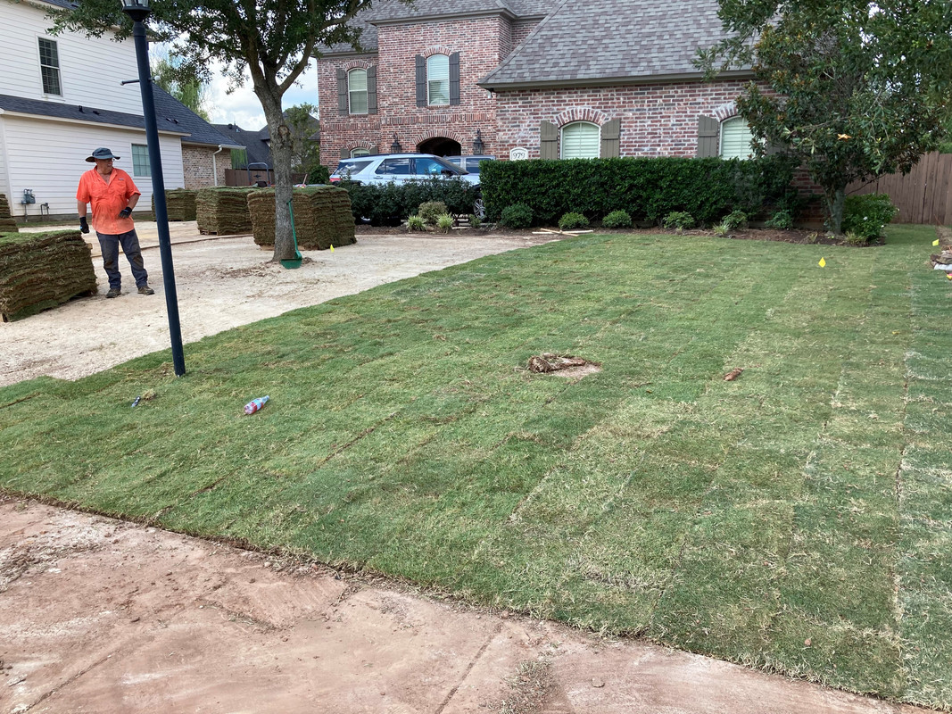 Sod day 22