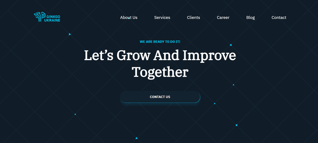 IT Infrastructure Company Gingko Ukraine