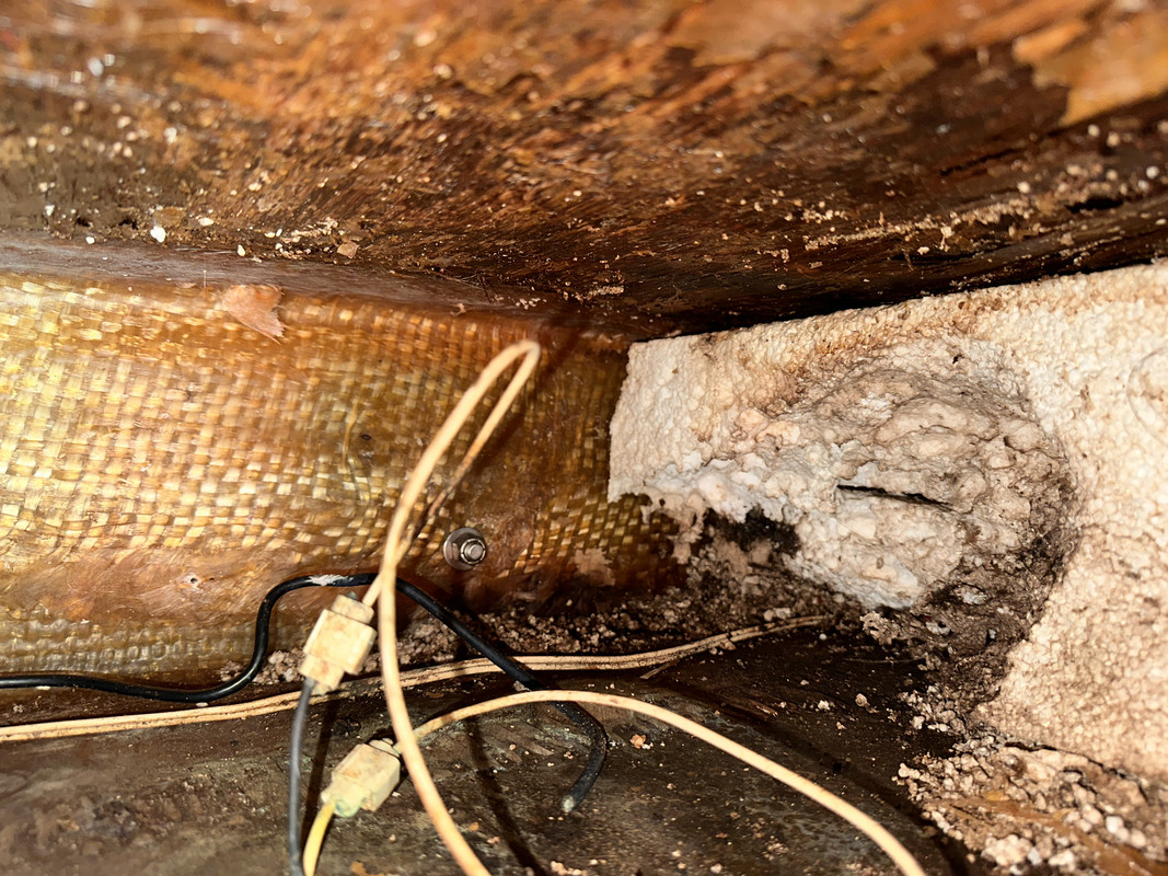 4F711755-B8AD-4110-888B-C7DDC6B67377