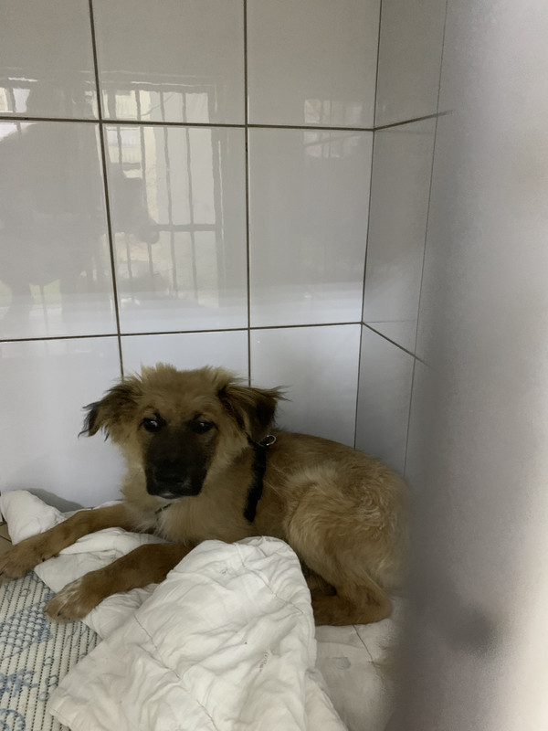 9F5FD668-9BCD-412C-9026-E95BF7B371B7