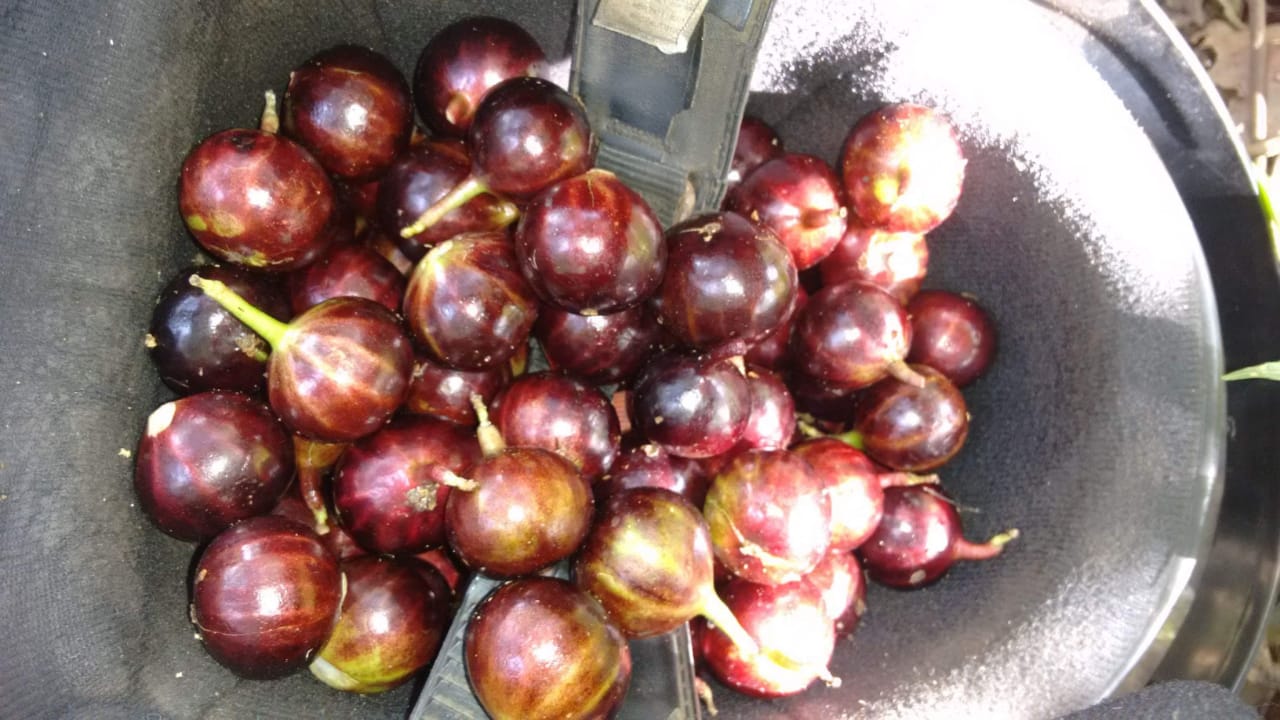 WhatsApp Image 2020-12-20 at 00.10.49 (31)