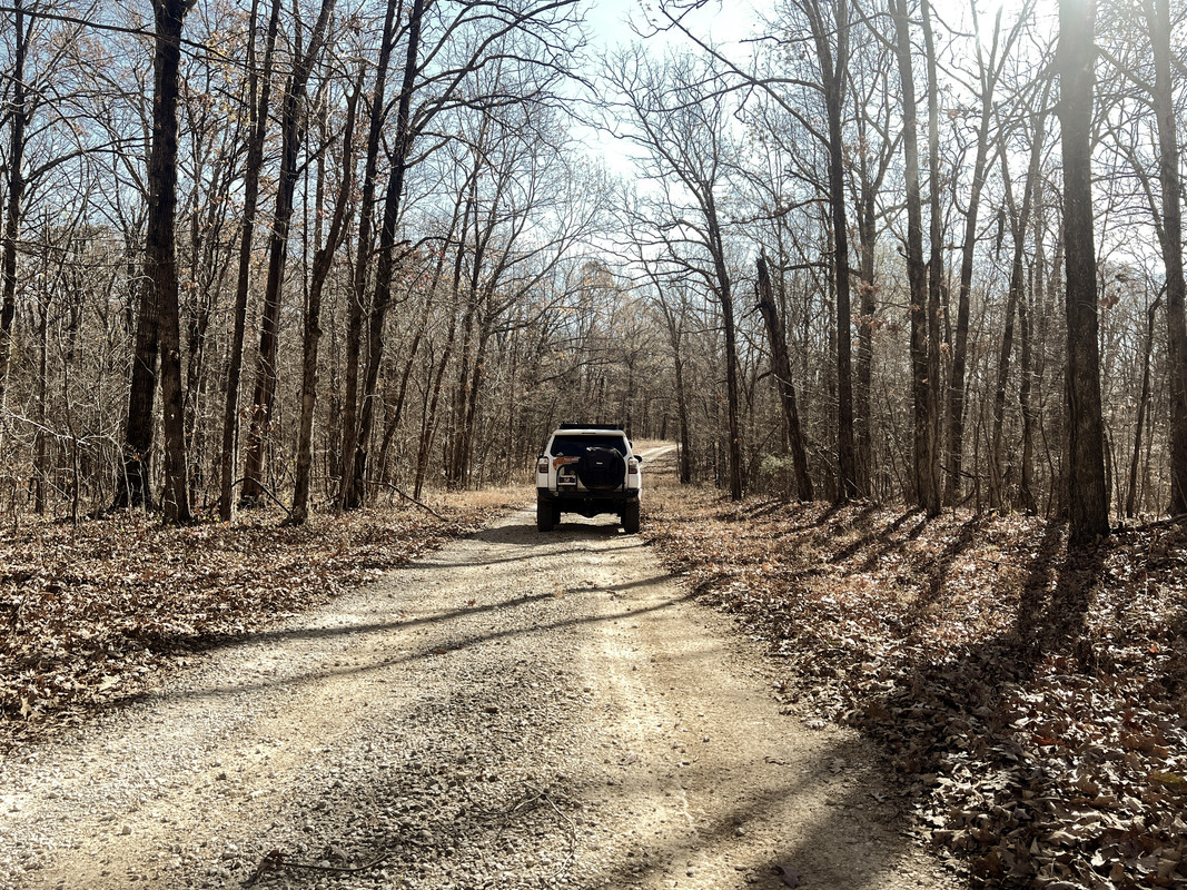 IMG-7693.jpg