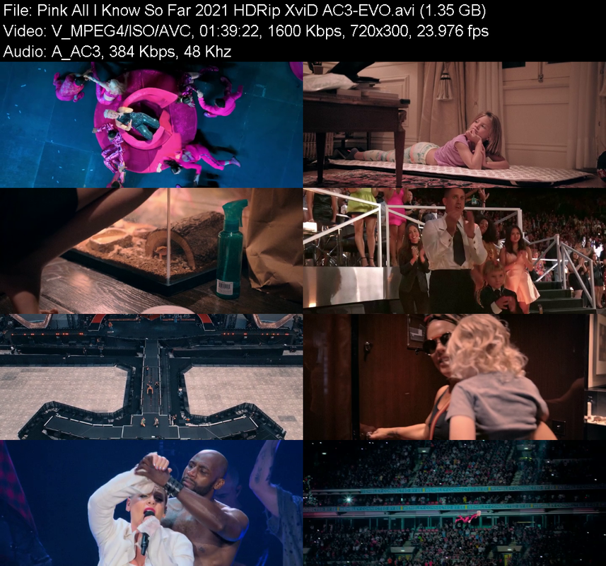 pink-all-i-know-so-far-2021-hdrip-xvid-a