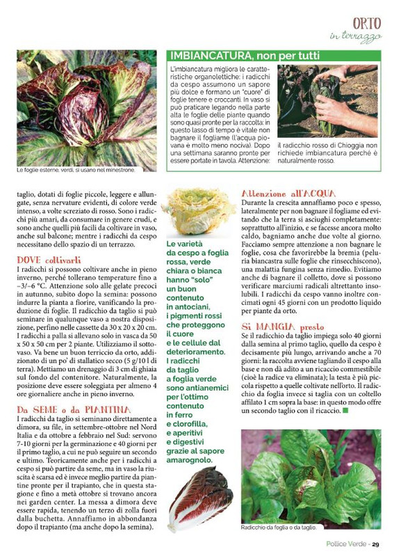 Pol Ver Set 2022 (4)