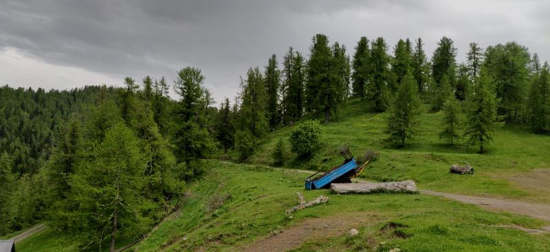 IMG_20190609_145408.jpg.1