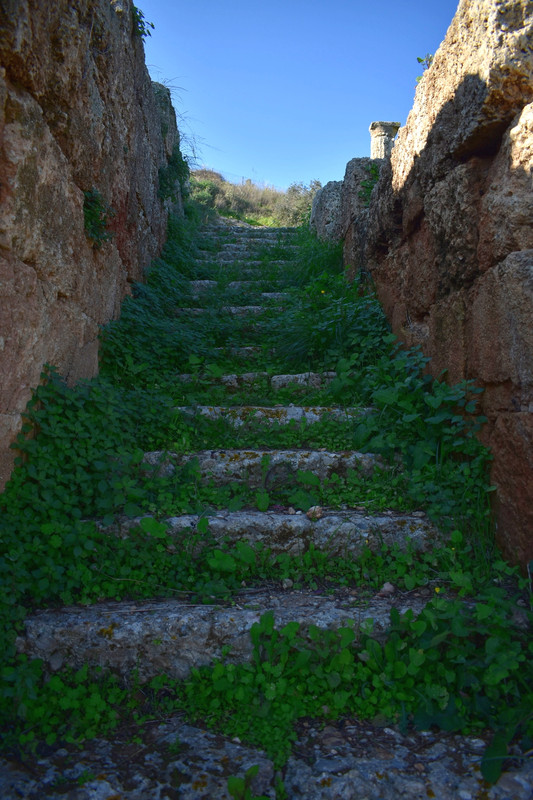 Αρχαία Σικυώνα (12)