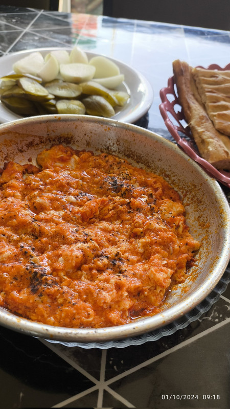 ۲۰۲۴۱۰۰۳_۲۰۲۴۲۰