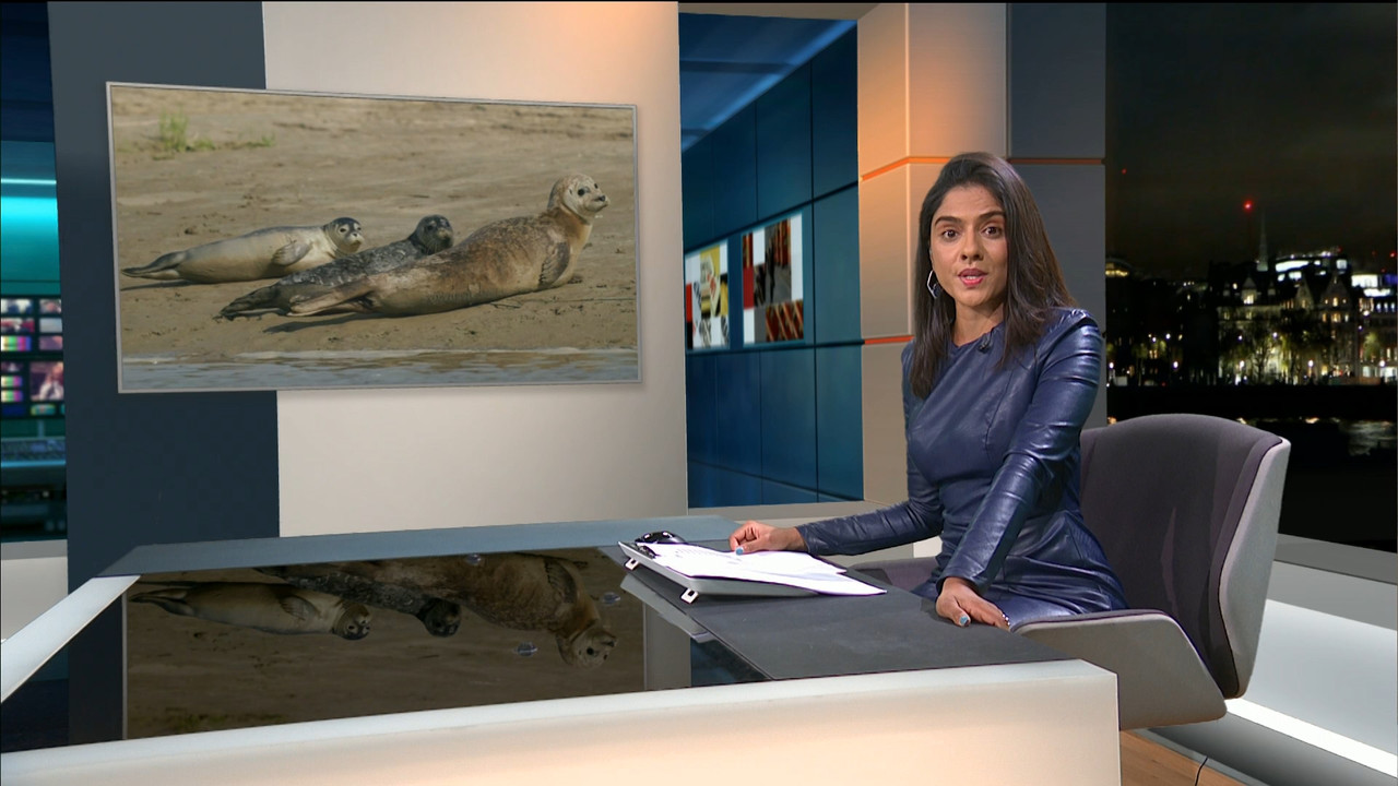 ITV News London_20210906_22302245.ts_snapshot_08.52.570