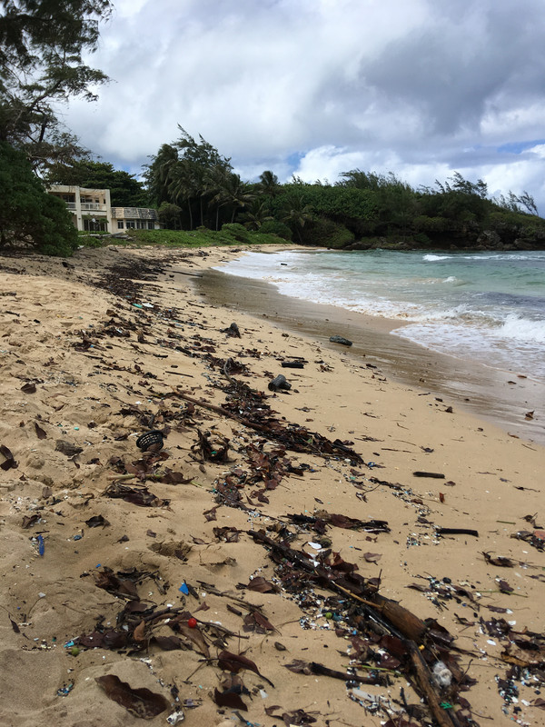 3F71630D-121F-4610-938A-6613ED60CB0B