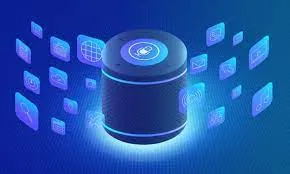 Smart Domestic Voice