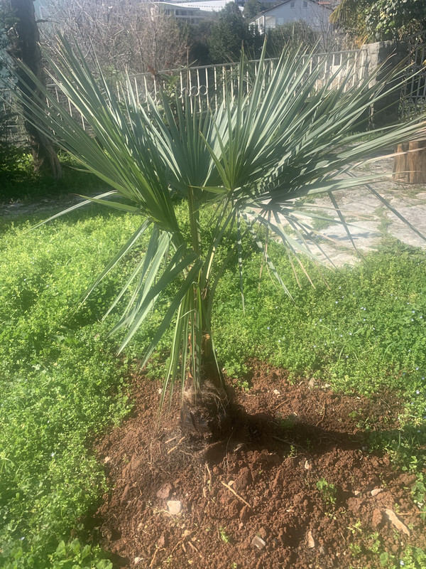 DB9349F5-1C07-44FF-BB75-BD1BC32E5ADF