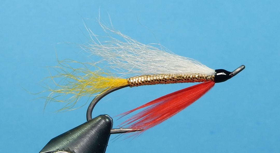 Carter-s-Dixie-1080.jpg