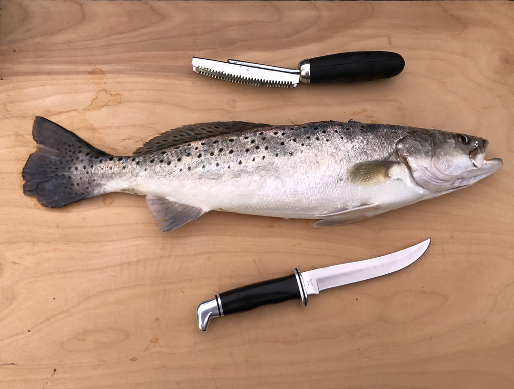 19-inch-Speck-ready-to-clean-11-30-19.jpg