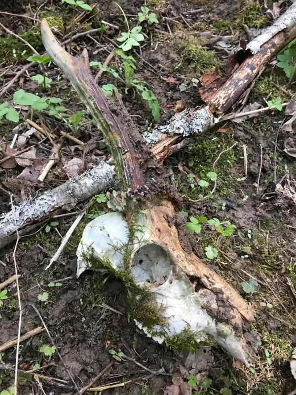 A0B55995-1D5B-4419-9102-E68644C09762