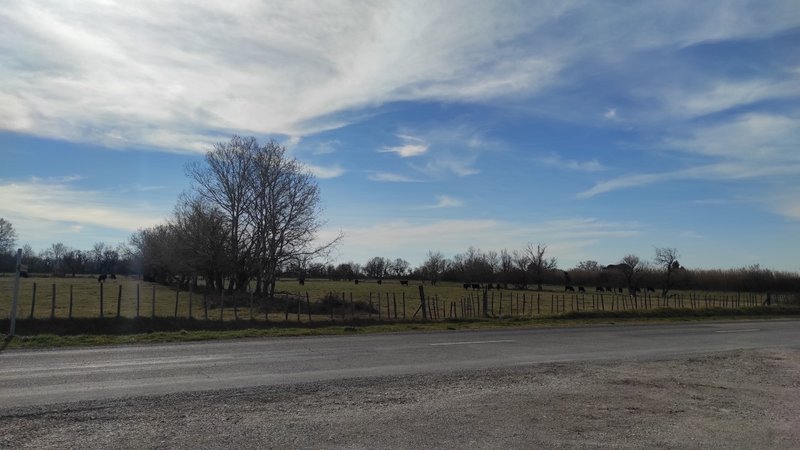 De retour en Camargue - Page 2 Thumbnail-1643900425593
