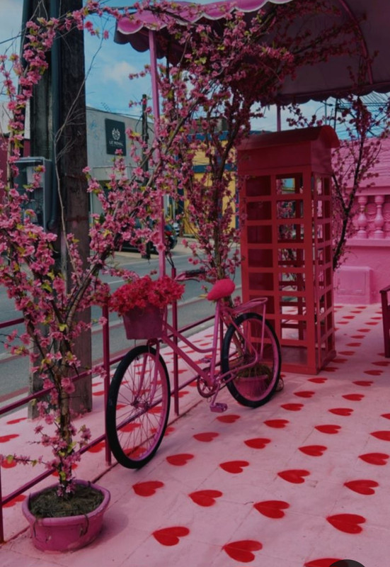 Screenshot_20240424_221931_Pinterest