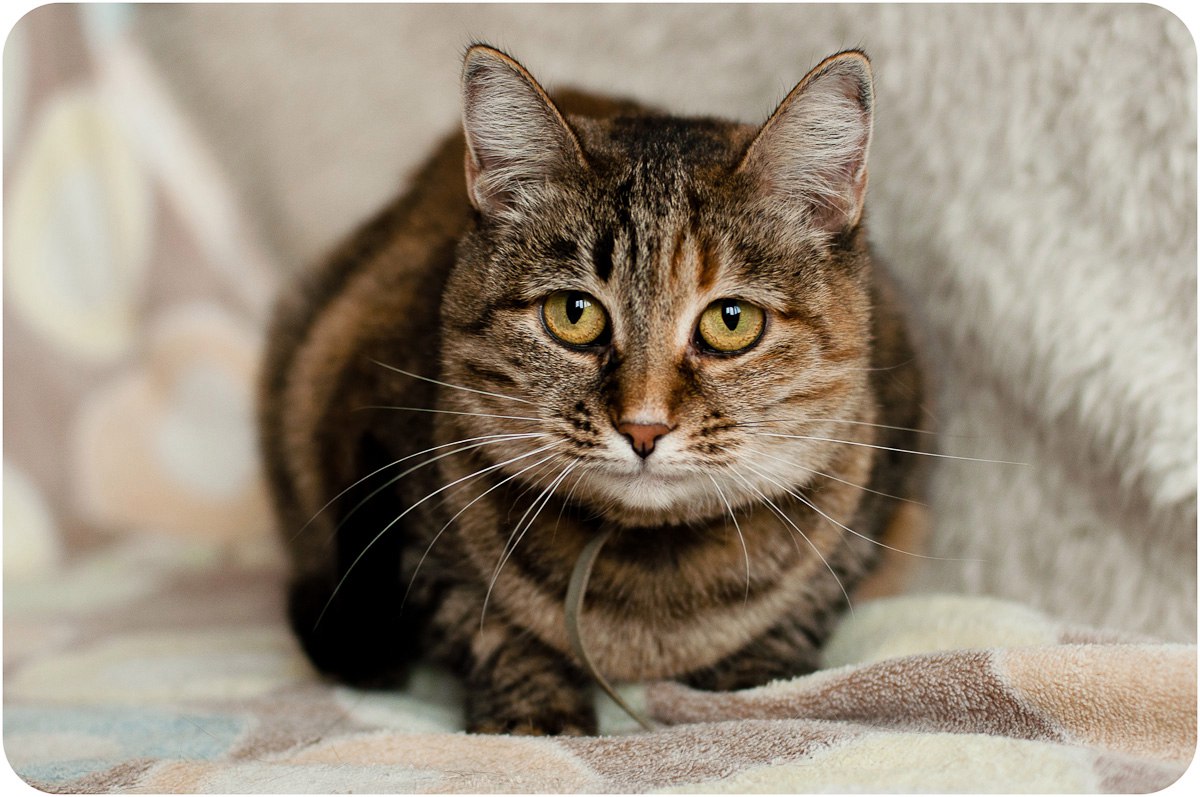 0C27DFB1-D27D-45B2-8CA9-8A8BCBCB8470