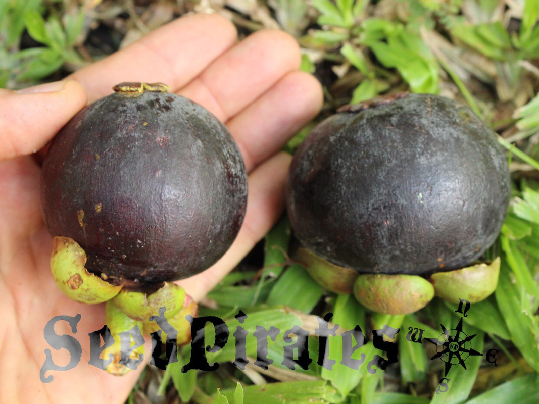 9F5CAA09-22C9-4F50-8F65-BC2FBE5AFCFB