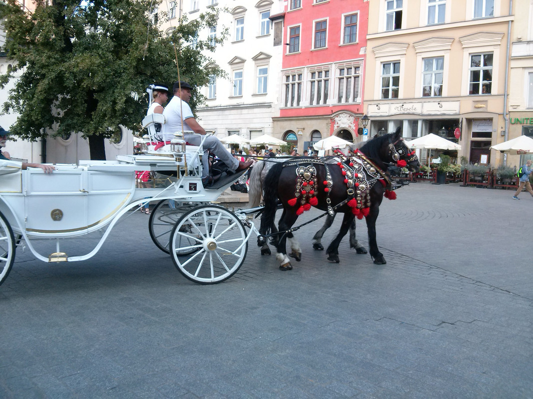 Slovacka-Poljska-2018 (383)