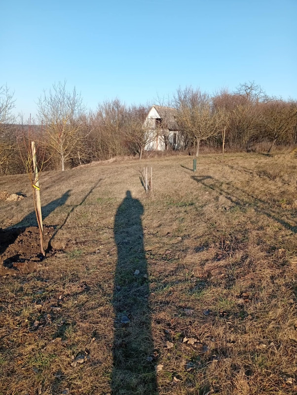 64f2ffa5 0d93 4411 9312 c75d6601c770