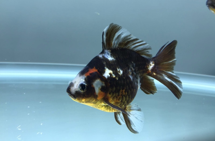 5BDBE257-FAC2-408B-BEC8-C96723845F8E