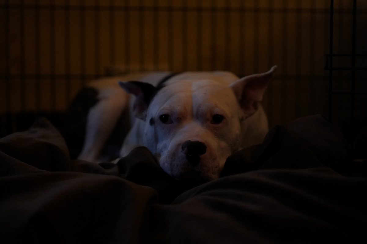 926E9E71-F984-496D-807E-201115BF18F9