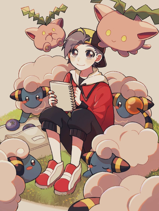 ethan-hoppip-and-mareep-pokemon-and-1-mo
