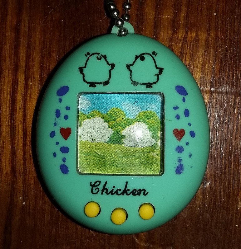 chicken - peppermint green chicken - peppermint green