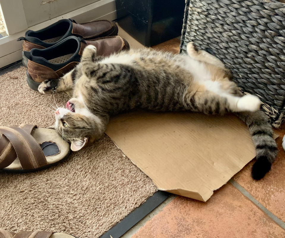 126678AE-308A-4E31-99F2-71E2418DCA50