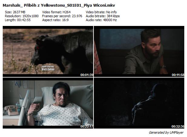 Y: Marshals (2026) /S01/CZ/EN