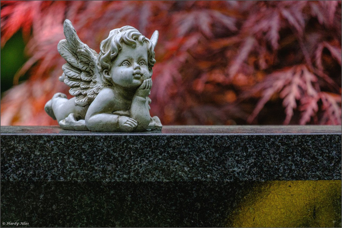 XT4G8161 2023 Köln LR ERWZ FB