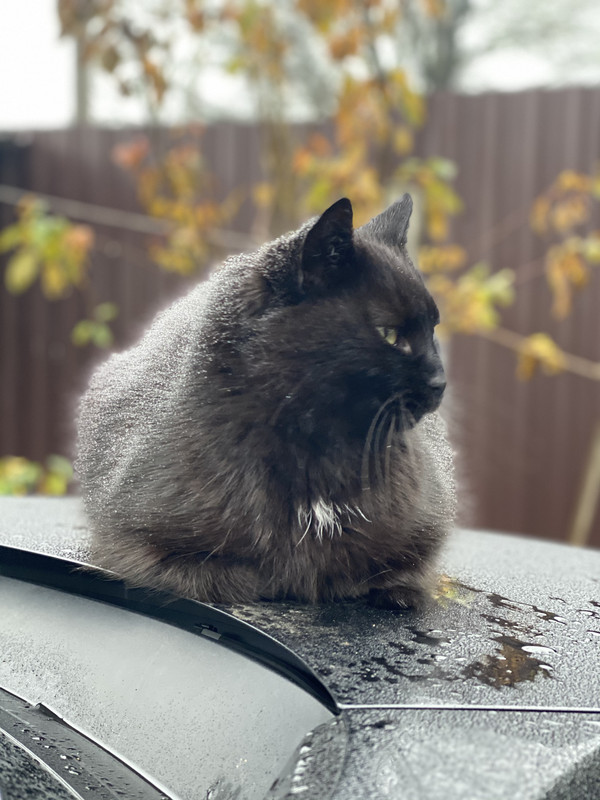 52656424-A7B7-4C88-A441-C908F0DA59D4