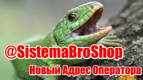 Sistema-Bro-Shop.jpg