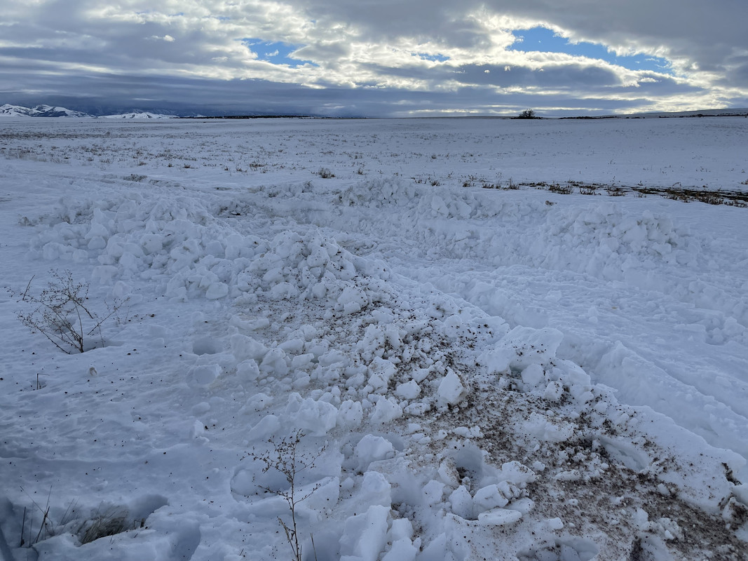 3366E133-6C15-4358-AF4E-D61106670976