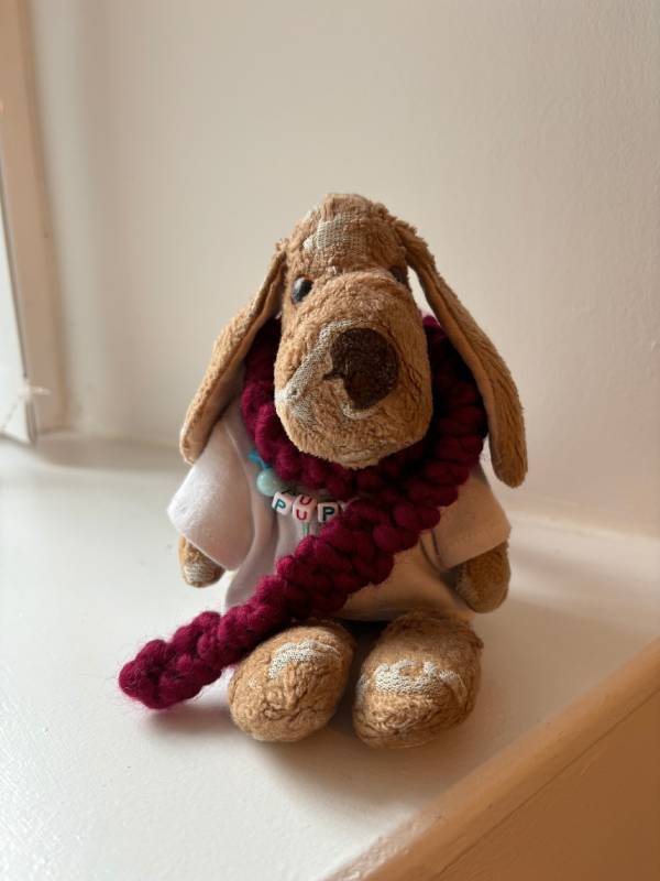 a small well-loved brown puppy plushie wearing a lumpy hand-knitted burgundy scarf. he is sitting in a windowsill and also wearing a white t-shirt underneath his scarf.