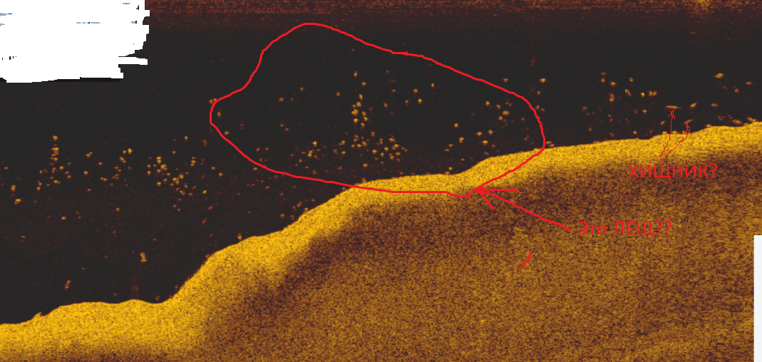 Безымянный лещ