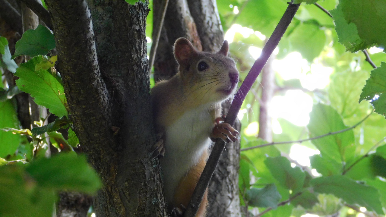 Дачное и  к Хелл сентябрь 2023 007